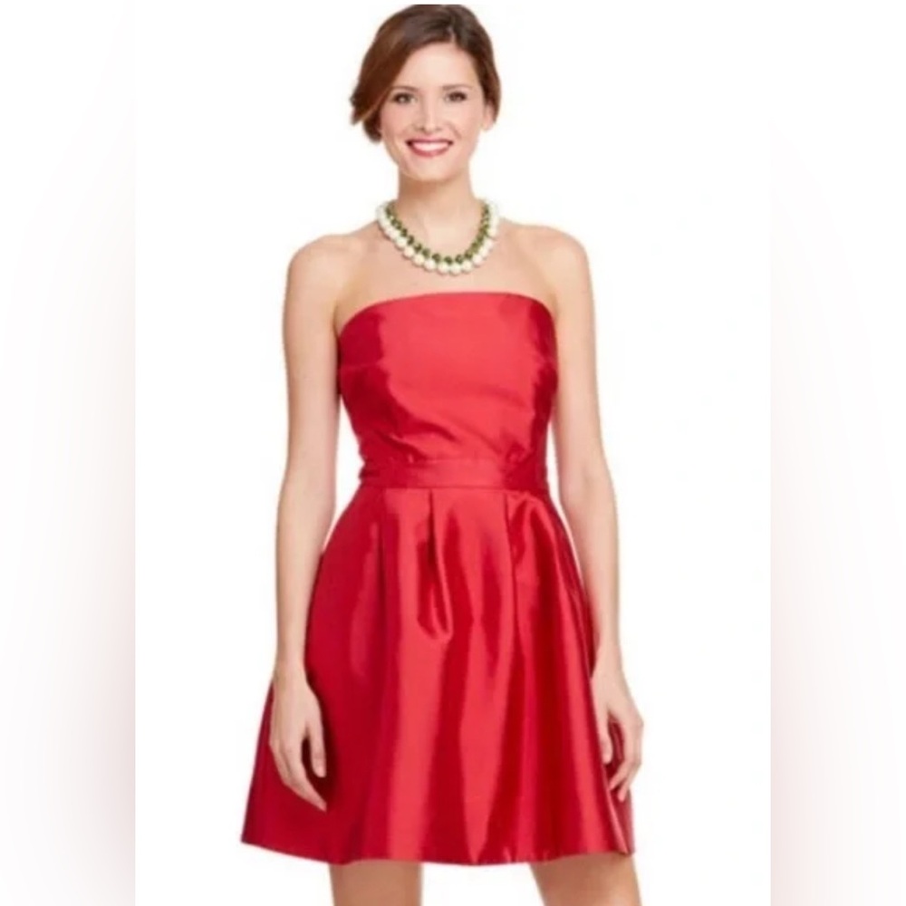 Brand new with tags Holiday Dress from Vineyard Vines!